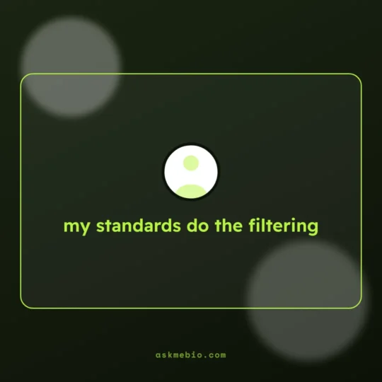 Bio For Instagram For Boy Attitude card: my standards do the filtering